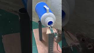 Farsamo Gacmeedka Casriga Ah Dabinka Jiirka