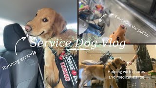 Service Dog Vlog! | Shopping, educating the public, medical alerts and more!🐾✨🦮 by helperpupatlas 812 views 7 months ago 10 minutes, 9 seconds