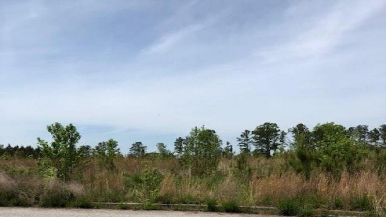 6.14ac Buchanan Bypass, Buchanan, GA Presented by Southern Roots Group.