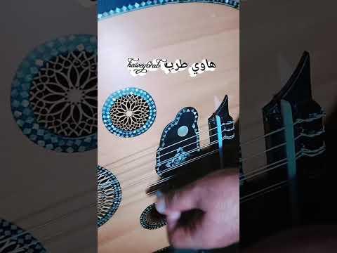 الهوى ماهو غصيبه عزف وغناء هاوي طرب