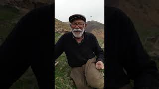 Ali Amcayla Sohpetimiz