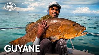 In the heart of French Guiana's wild coastline: illegal fishing and nature in danger | Documentary