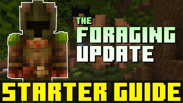 The Foraging Update - Easy Beginner