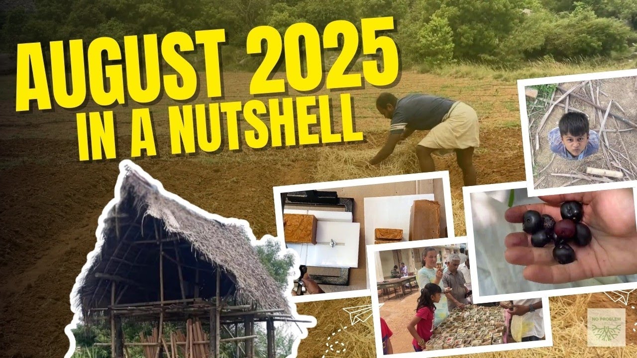Farm updates: August 2025 in a nutshell | monthly vlog 