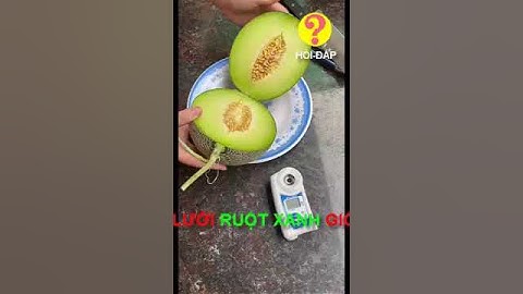 💢 Dưa Lưới Ruột Xanh có Ngon Không? How is Honeydew Melon?