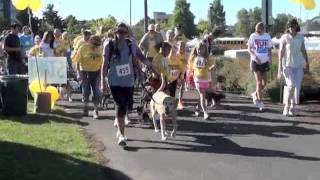 2012 WillaMutt Strut!