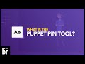 What is the Puppet Pin Tool? After Effects Tutorial