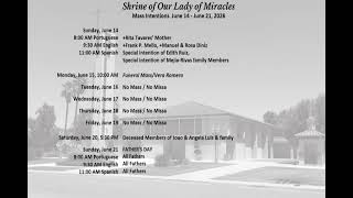 The Eleventh Sunday in Ordinary Time June 14, 2026