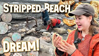 SANDSTRIPPED BEACH Exposes Lost TREASURES! No Metal Detector Needed! (Beachcombing Treasure Hunt)
