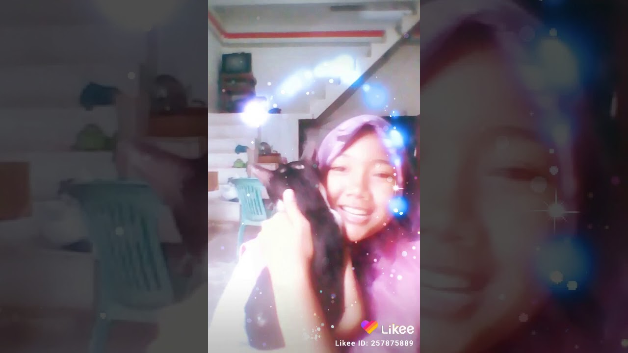 kucing saya 