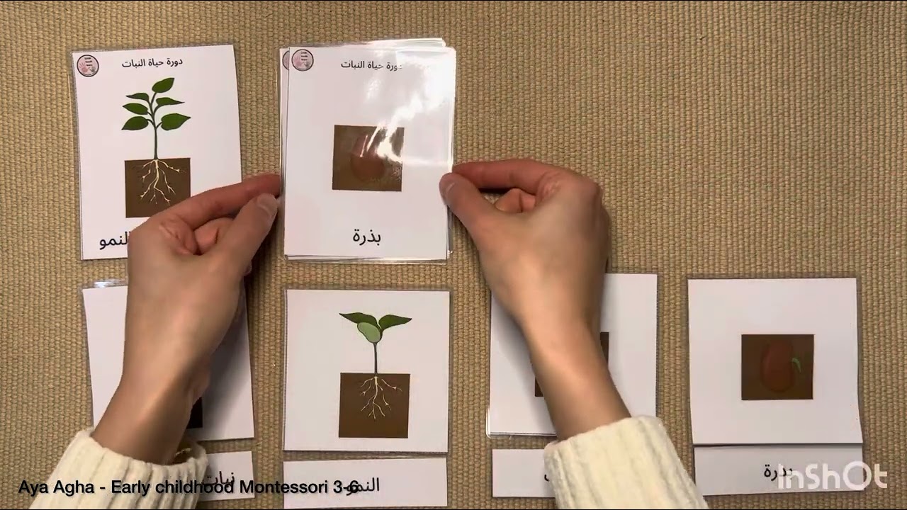 مونتيسوري كيفية تقديم البطاقات ثلاثية الأجزاء - montessori 3parts cards presentation