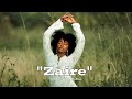 Free Afro Bongo Instrumental 2026 Congo Type Beat Felli Pupa 