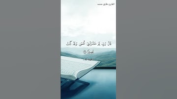 آيات من سورة طه القارئ طارق محمد