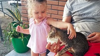 Cute Kitten And Toddler Meeting For The First Time
