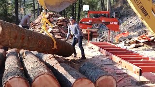 Building a House Start to Finish: Sawmilling a Timber Frame by Themselves