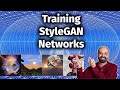 Train StyleGAN with your Own Images (7.2)