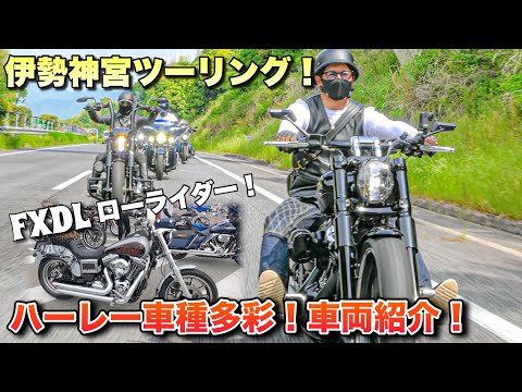 えーりーさん専用⭐︎Harley Davidson ⭐︎ Front Fork Axle Cap For Harley Davidson Models W/ 41mm Forks