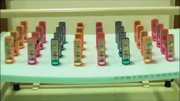 Metronome Synchronization Experiment