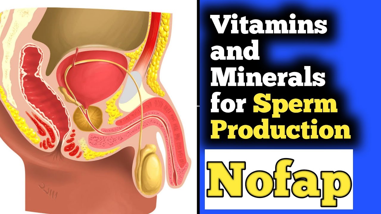 Essential Vitamins and Minerals for Sperm Production. YouTube