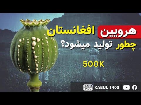 تصویری: آیا برنج وحشی به صورت تجاری کشت می شود؟