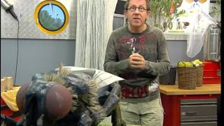 Qu'est-ce que ça mange une mouche ?
