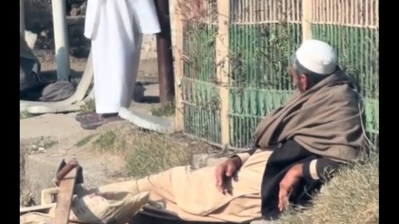 Amjad| De kaka ta kar na melawedo ho Amjad bhai wrsra melaw shwe de video ogurai#subscribemychannel 