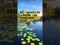 What’s the first lure u using #fishing #bassfishing #fypfishing #fyp #fishingspot #flordia #fish