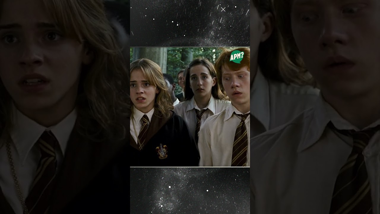 Fabrice Potter i el Colom d'Azkaban 🕊🪄