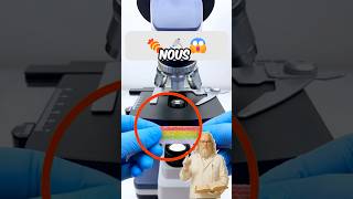 BONBONS sous LE microscope... CE QUE NOUS TROUVONS est INCROYABLE ! 🍬🔬😱