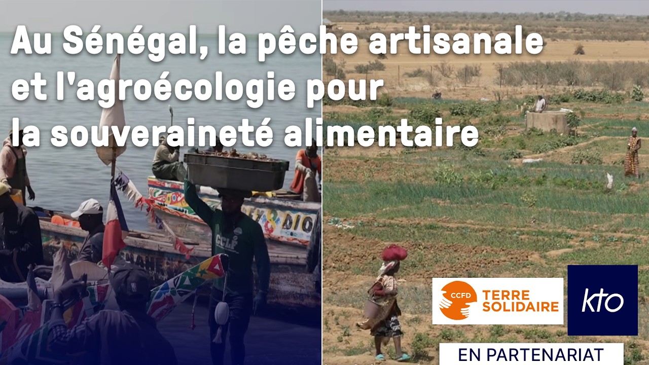 Au Sénégal, la pêche artisanale et l'agroécologie pour la souveraineté alimentaire