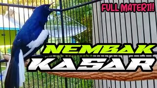 KACER BONGKAR MATERI.PANCINGAN KACER.KACER GACOR.เสียงนกกางเขนบ้านร้องเบาๆ