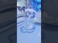 シナモロールのケーキ【水色の部屋】