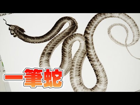 一筆龍ならぬ 一筆蛇 を描く様子の一部始終 Youtube