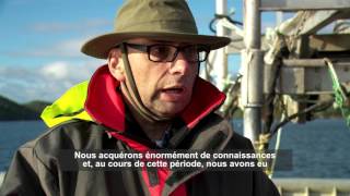 Élevage de moules en eau profonde à Terre-Neuve-et-Labrador