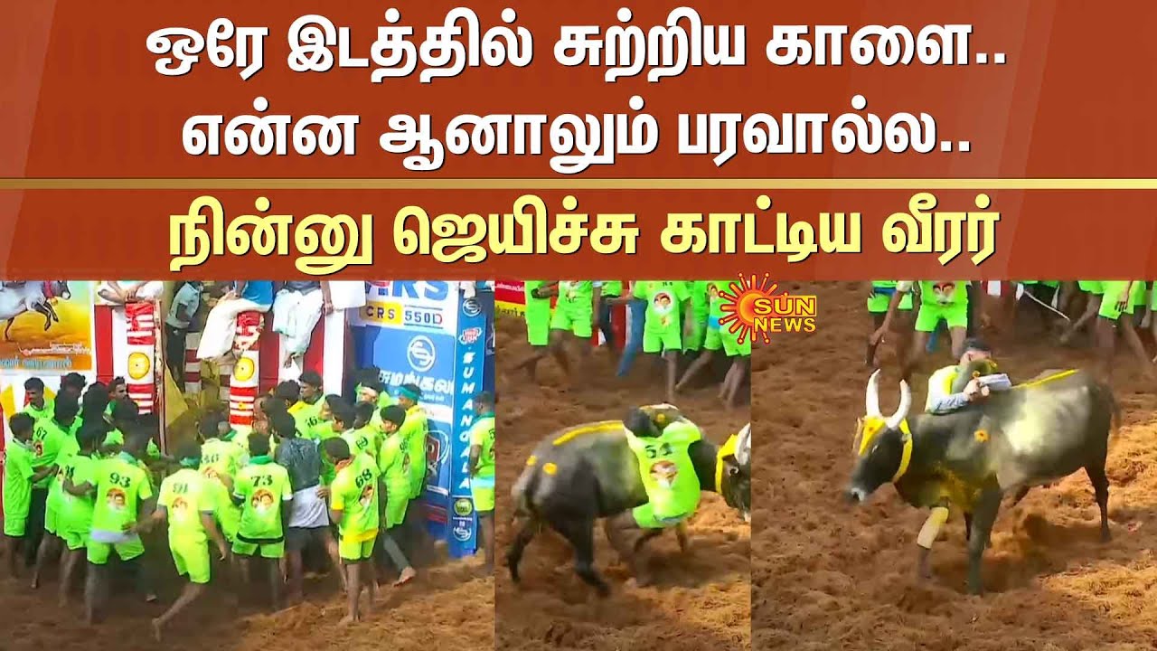Alanganallur Jallikattu | Bull | Player win | Circled around in one place | Madurai | Sun News