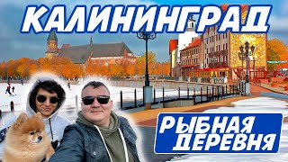 Что делать в Калининграде зимой, ехать или да? | Посмотрели квартиру | Рыбную деревню и остров Канта