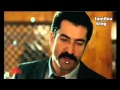 بنايرية و الأنتريتية 