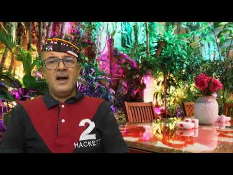 لماذا البابايا أقوى من الجميع لمنع ظهور الشعر وهدية الخلطة المجربة