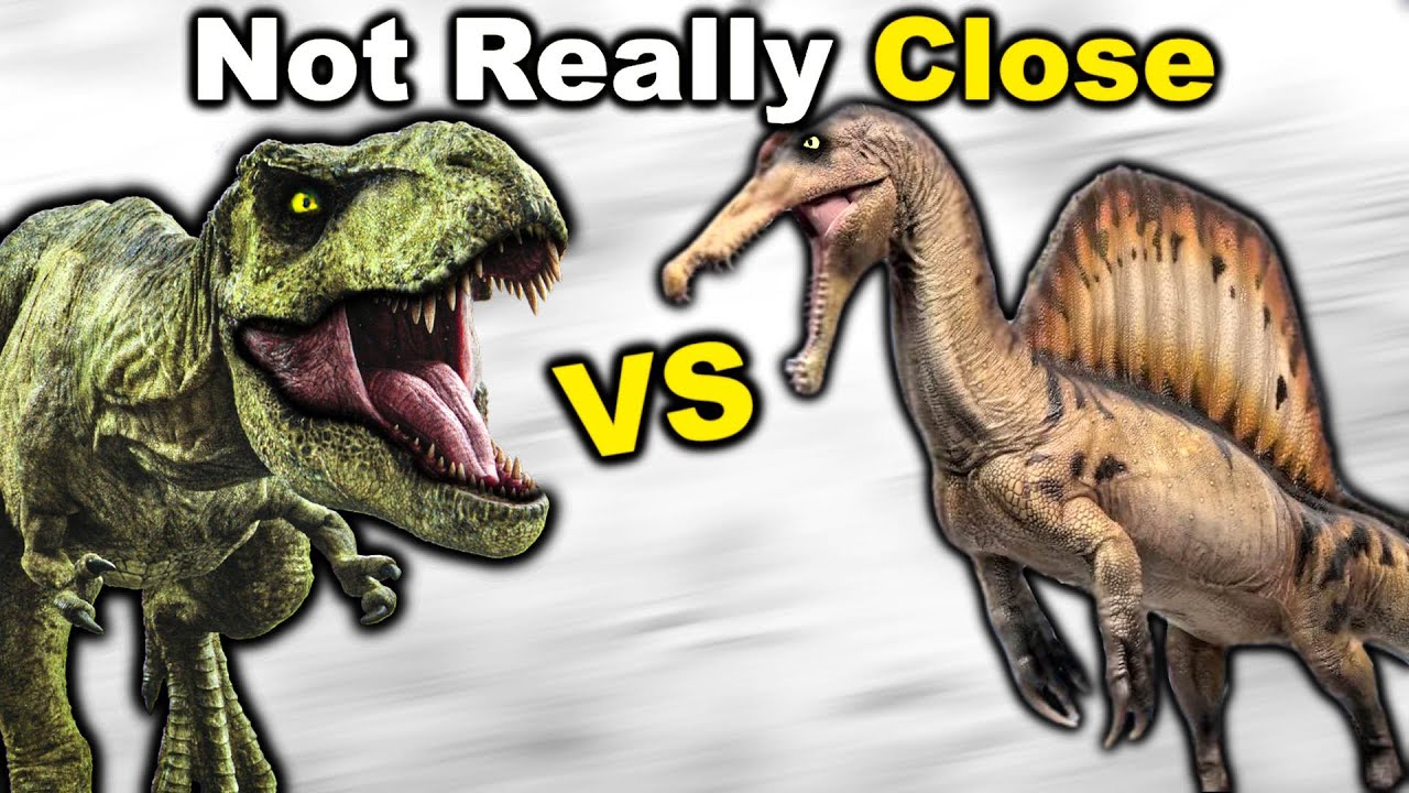 Тираннозавр против Спинозавра — не очень близко