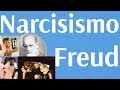 Freud, El Narcisismo