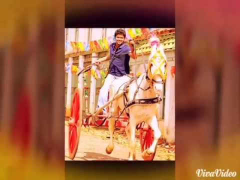 Vaaraanda Vaaraanda song Thalapathy Mass