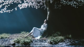 Aimer - marie