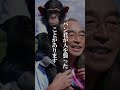 動物園スターの暴走 パン君の衝撃的な行動とは #怖い #動物園 #パン君