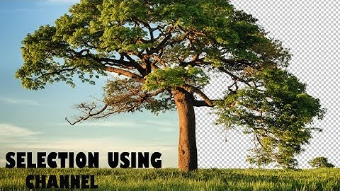 select Tree using alpha channel in Adobe Photoshop
