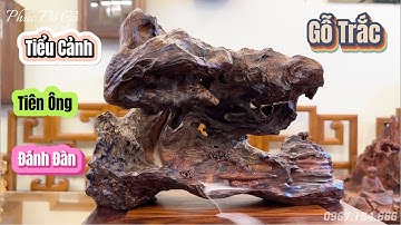 Tiểu Cảnh Tiên Ông Đánh Đàn Gỗ Trắc | Phúc Gỗ