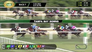 March 25, 2026  Race 7