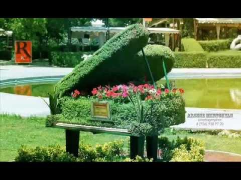 Ока берет начало