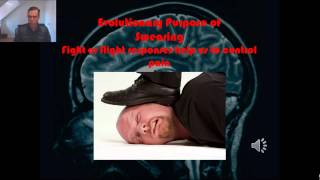 Swearing and the Brain