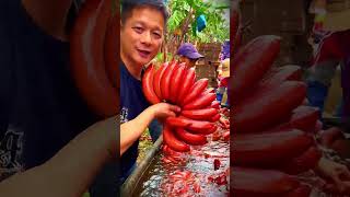 Village Farming Produces The Best Quality Red Bananas