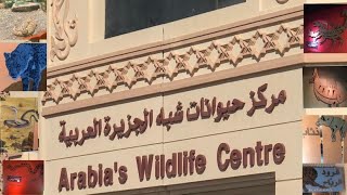 مركز حيوانات شبه الجزيرة العربية الشارقة دبى Arabias Wildlife Center - sharjah